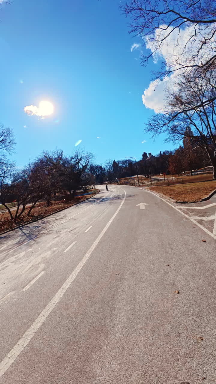 New York, USA, 8 ottobre 2024: visita Central Park durante una giornata di sole. Persone si godono una giornata di sole a Central Park, New York, con cielo terso e alberi spogli che costeggiano il sentiero.