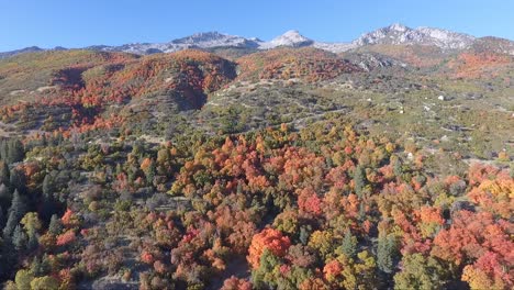 Beautiful-fall-foliage-near-Alpine,-Utah-on-a-sunny-October-day-as-seen-from-the-air