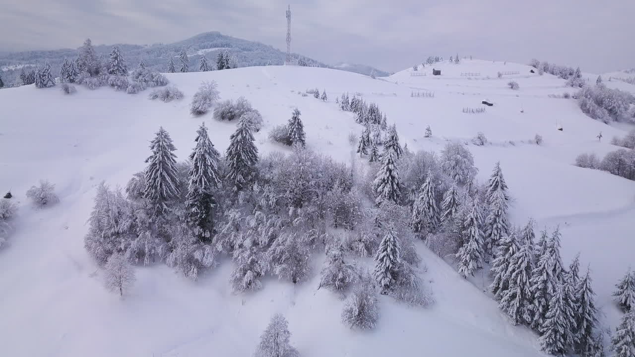 [Letecké záběry] Malebná krajina ukazující stromy obklopené sněhem
