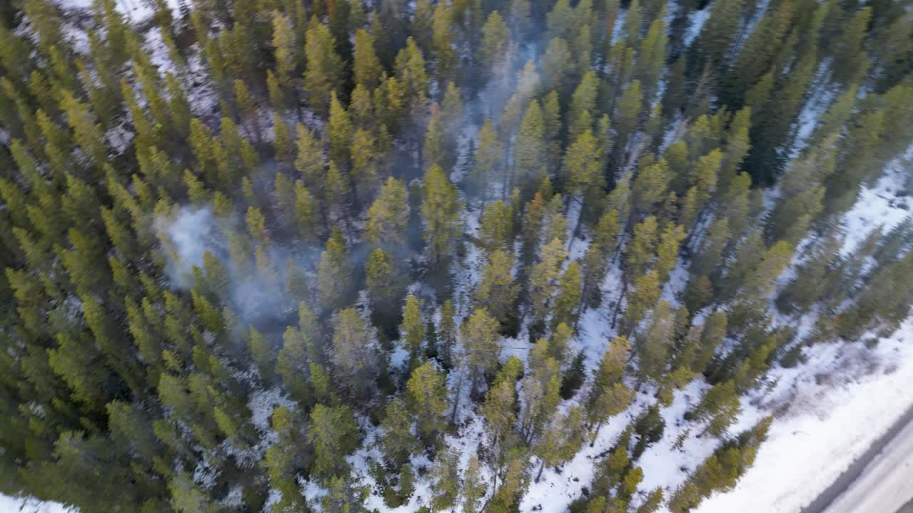 aerial de humo de incendio forestal directamente por encima, canmore, alberta, canadá
