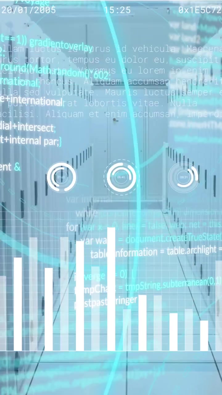Animation of financial data processing over computer servers