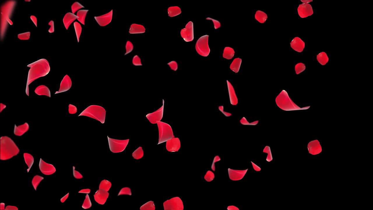Valentine Loop background with Falling Red Rose petals green Screen Animation.
