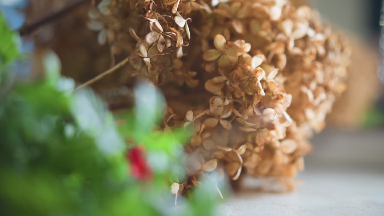 Composizione floreale calma. Ambiente domestico accogliente che mostra fiori di ortensia dai colori tenui e illuminazione classica. Esposizione floreale serena in una cucina in stile vintage con ortensie essiccate e calda luce ambientale.