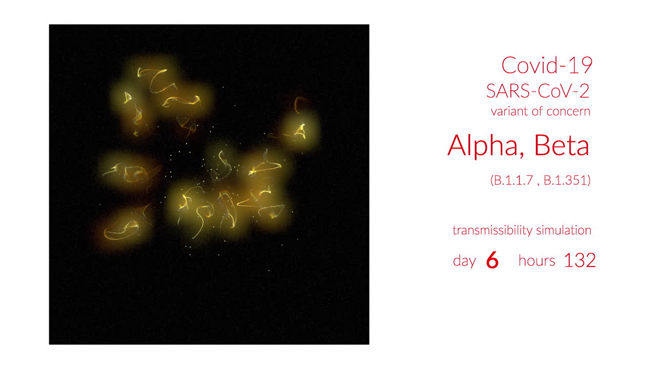 Covid-19 Alpha and Beta Variant Transmissibility Simulation