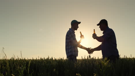 silhouetten von zwei männern klingeln bierflaschen und schütteln sich die hände. stehen in einem weizenfeld bei sonnenuntergang