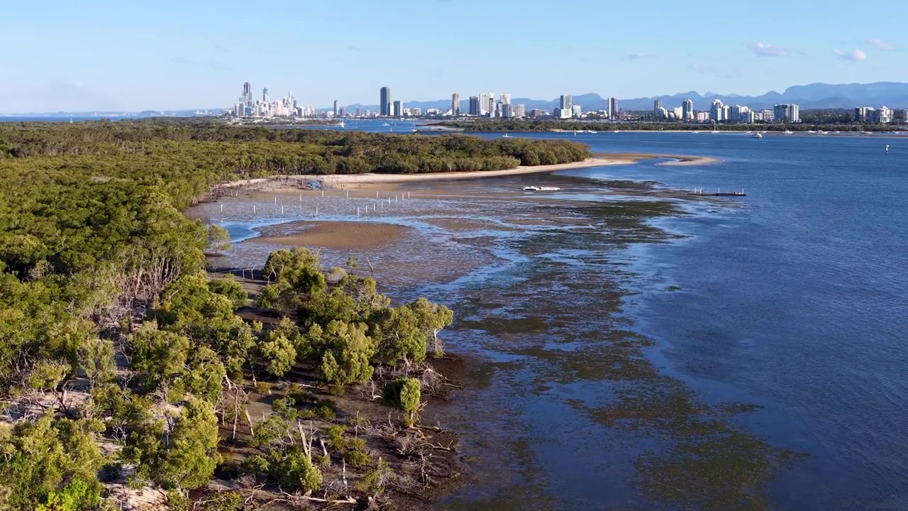 Ripresa con drone che sorvola mangrovie lussureggianti verso lo skyline della città in lontananza a South Stradbroke Island