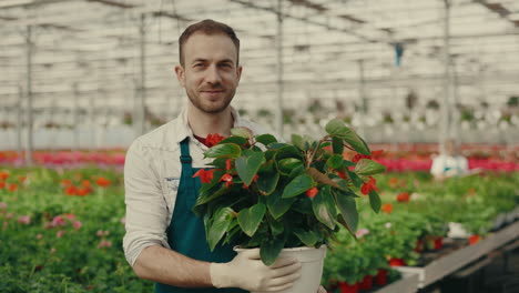smiling male gardener holding a potted plant in a greenhouse