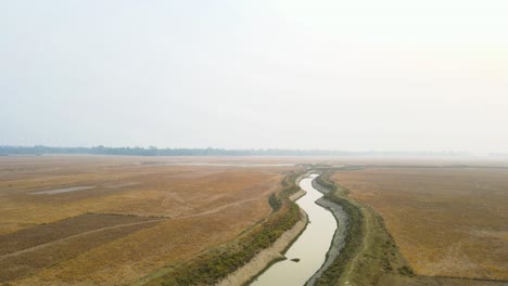 버팔로 황소 는 카메라 렌즈 에 직접 쳐다본다