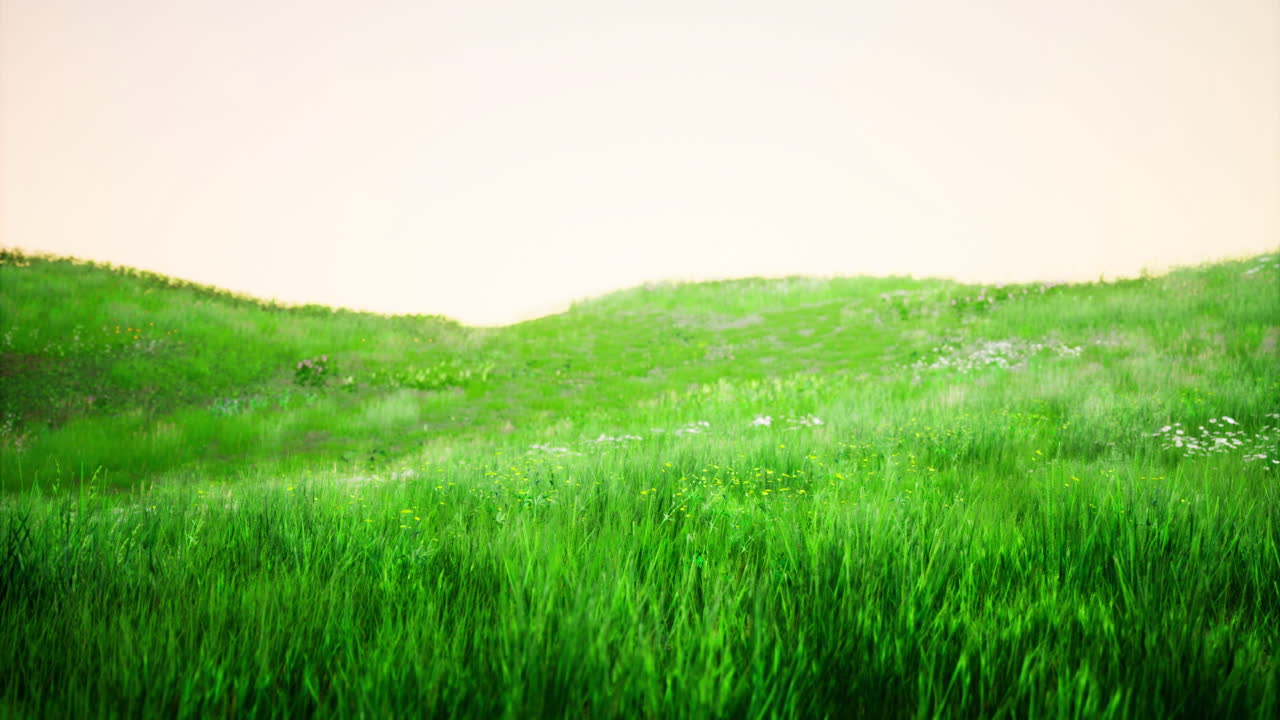 Vibrant green meadow with gentle hills under a soft sky during daylight hours