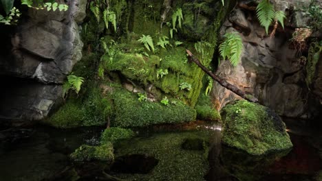 steady waterfall in a lush aquarium setting