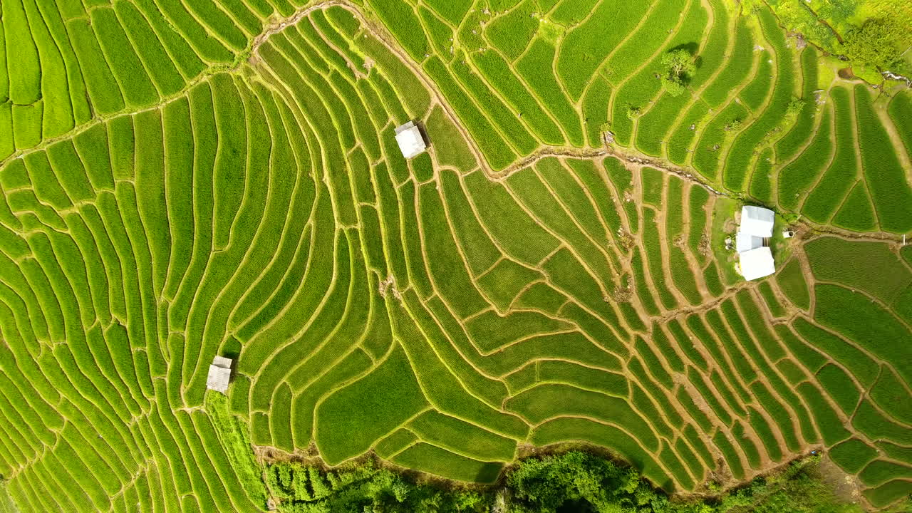 terraza de campo de arroz en tierras de agricultura de montaña.