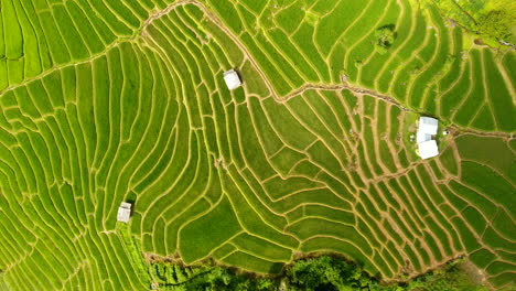 Rice-field-terrace-on-mountain-agriculture-land.