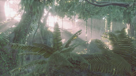 foggy jungle in the chiang dao mounts