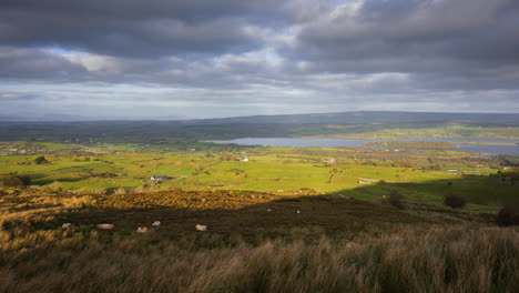 Zeitraffer-Ländlicher-Natur,-Ackerland-Mit-Grasfeld-Im-Vordergrund-Und-Schafen-Und-See-In-Der-Ferne-An-Einem-Sonnigen,-Bewölkten-Tag,-Gesehen-Von-Carrowkeel-In-Der-Grafschaft-Sligo-In-Irland