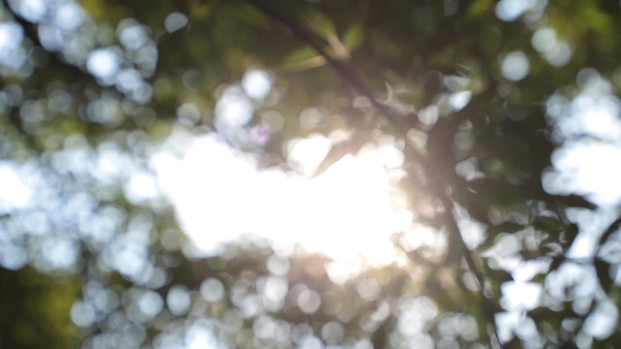 оставляет видео фон