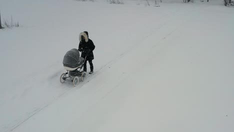 Madre-Soltera-Camina-Con-Un-Bebé-Recién-Nacido-En-Un-Carro-Durante-Las-Nevadas-Invernales