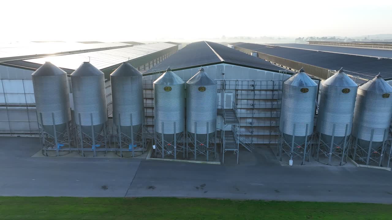 casas de pollo largas