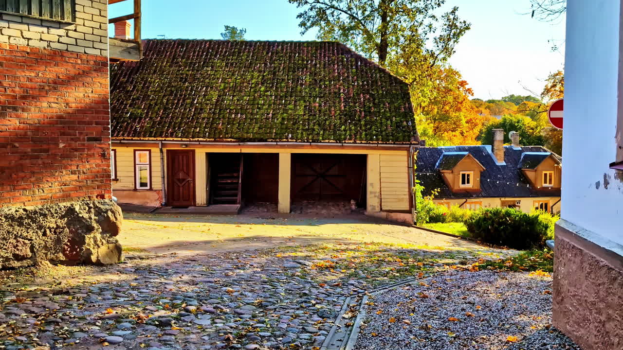 Strolling through autumn streets, sunlight glowing, slow-motion calm and cozy vibes