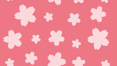animación en bucle del fondo donde fluye la ilustración de las flores de cerezo