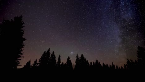 time lapse of a star filled night sky including the milky way and a forest silhouetted in the midground. venus is bright in the sky.