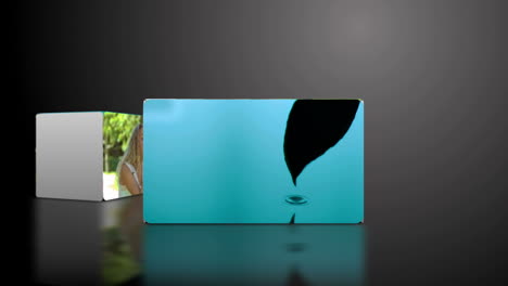 videos en cámara lenta en cubos
