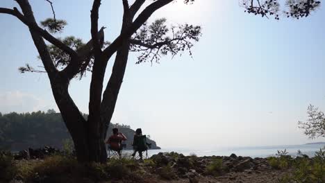 couple relaxing under a tree by the sea