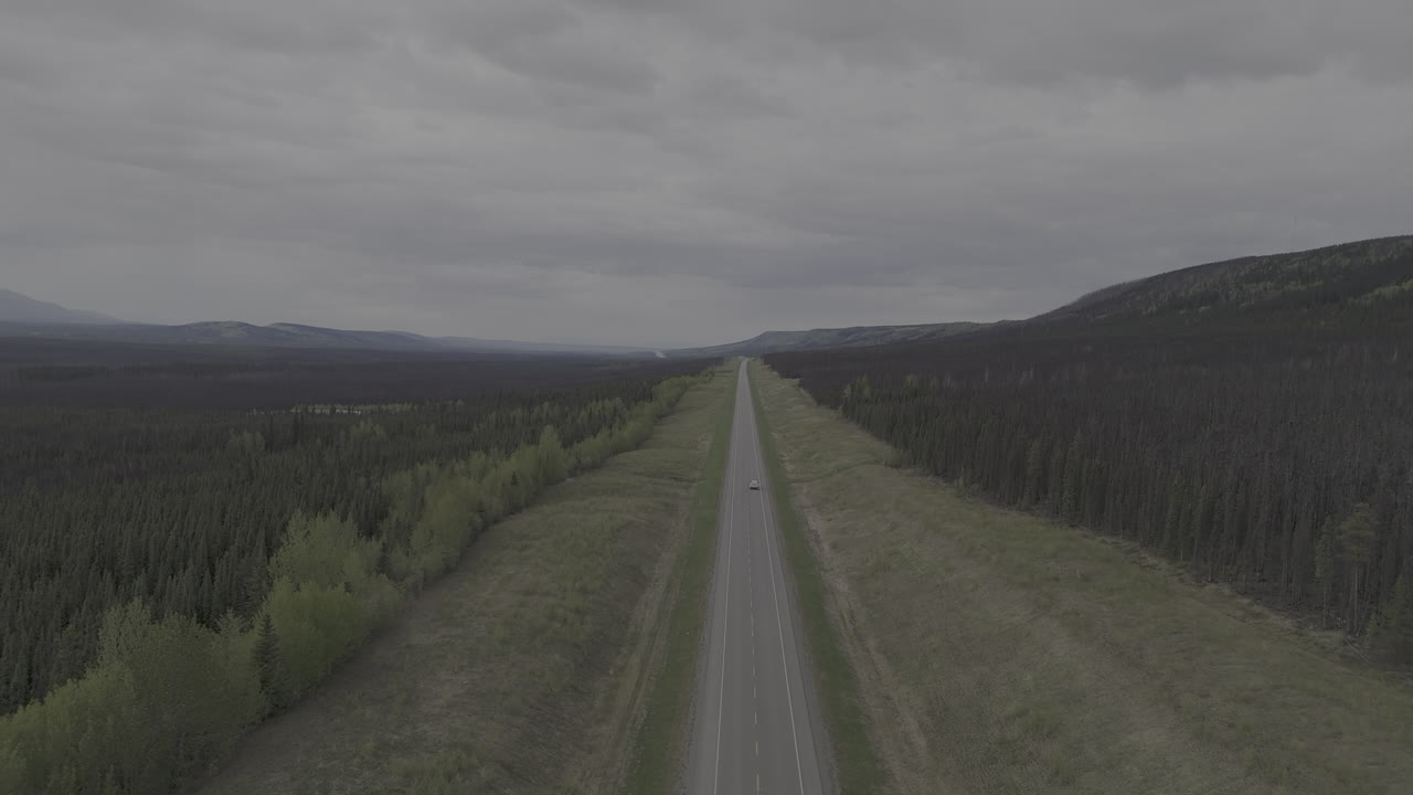 Endless open road adventure with a truck in the wilderness.