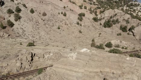 gran rebaño de ovejas de cuerno pastando en las montañas