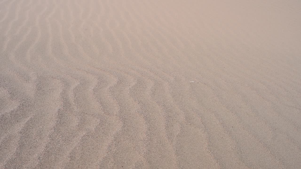 A natural abstract created by the elements. This close-up reveals the intricate ripples and flowing texture of a Mongolian sand dune, carved by persistent wind erosion