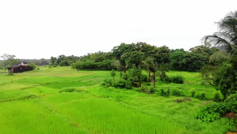 reveling-drone-shot-of-village-malvan-india-maharashtra