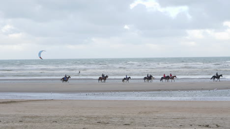 personas haciendo kite surf y montando a caballo en la playa