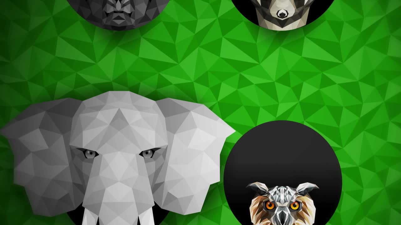 Samling av forskjellige dyr. Dyrehagesymbol. Lavpolygon-ikoner. Løve, Gorilla, Sebra, Vaskebjørn, Rev, Elefant, Hjort, Ugle. Geometrisk loop-animasjonssett.