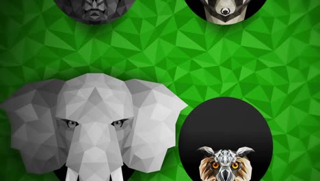 collection of different animals. zoo symbol. low polygon icons. lion, gorilla, zebra, raccoon, fox, elephant, deer, owl. geometric loop animation set.