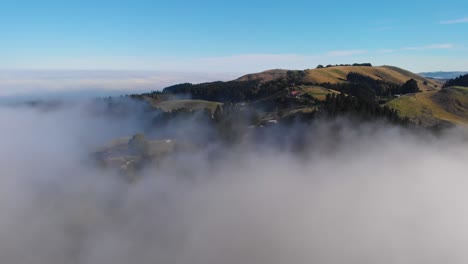 approaching beautiful green hills surrounded by an ocean of fog in canterbury, south island, new zealand