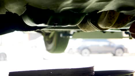 professional mechanic maintenance a car