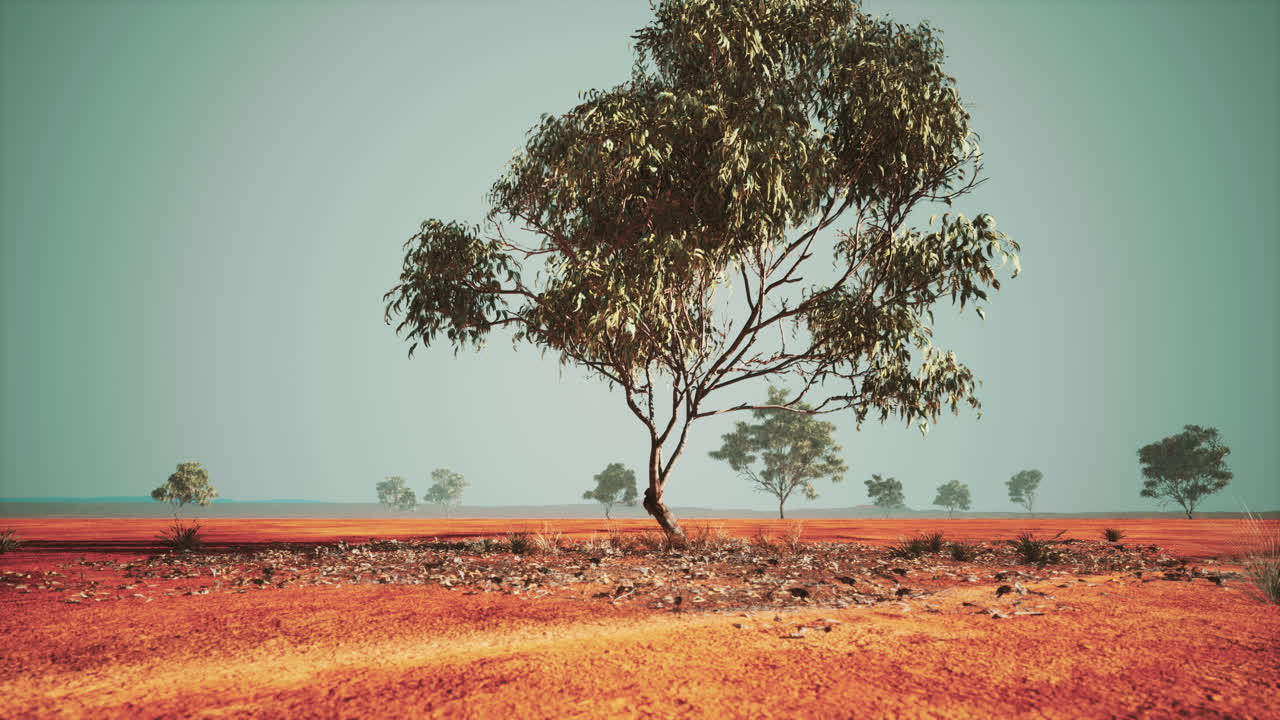 나무 들 이 있는 건조 한 아프리카 사바나