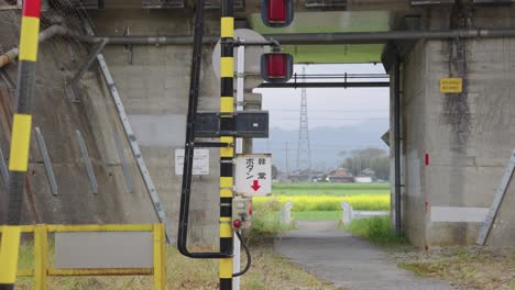 Ländliches-Toyosato,-Einreise-Nach-Japan