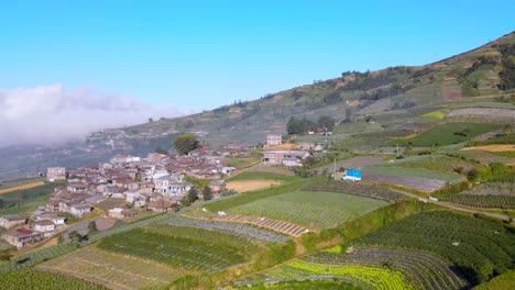 aerial flyover agricultural landscape with farm fields and driving truck on slope of mountain during sunny day - asian village located on hill in countryside - establishing drone shot