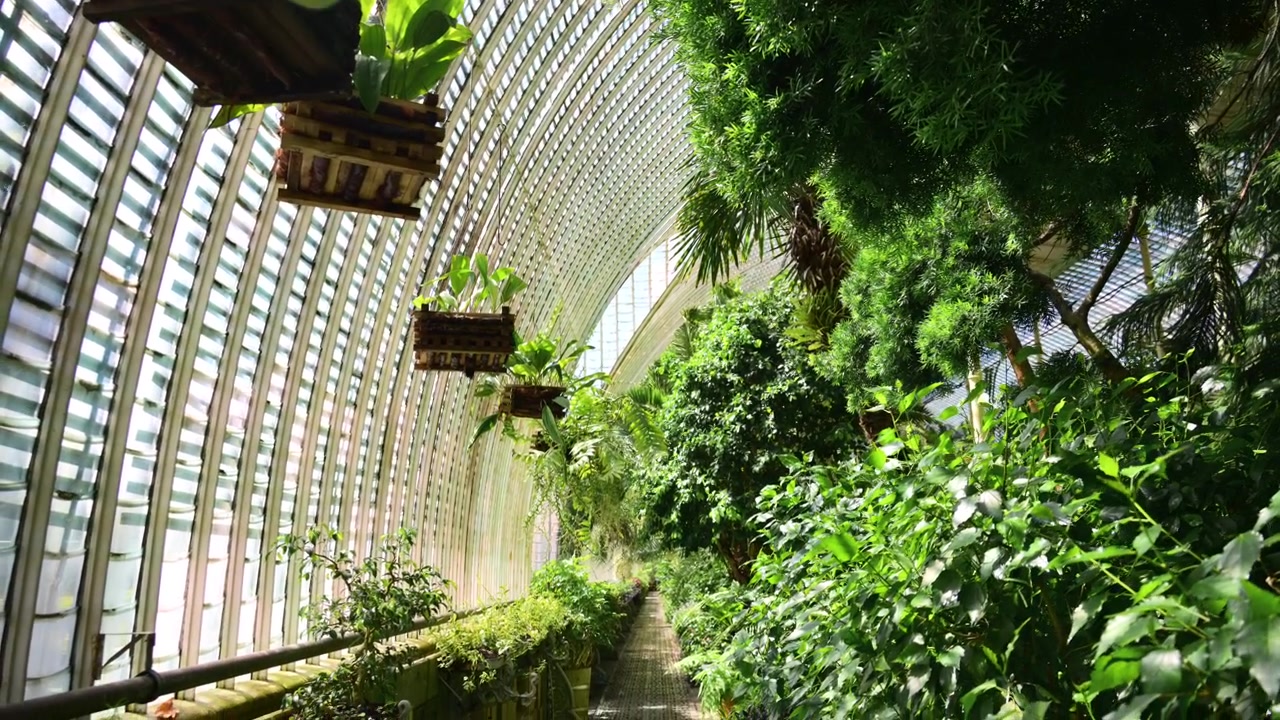 Uma estufa histórica com telhado de vidro curvo e floreiras de madeira suspensas, Lednice, República Checa.
