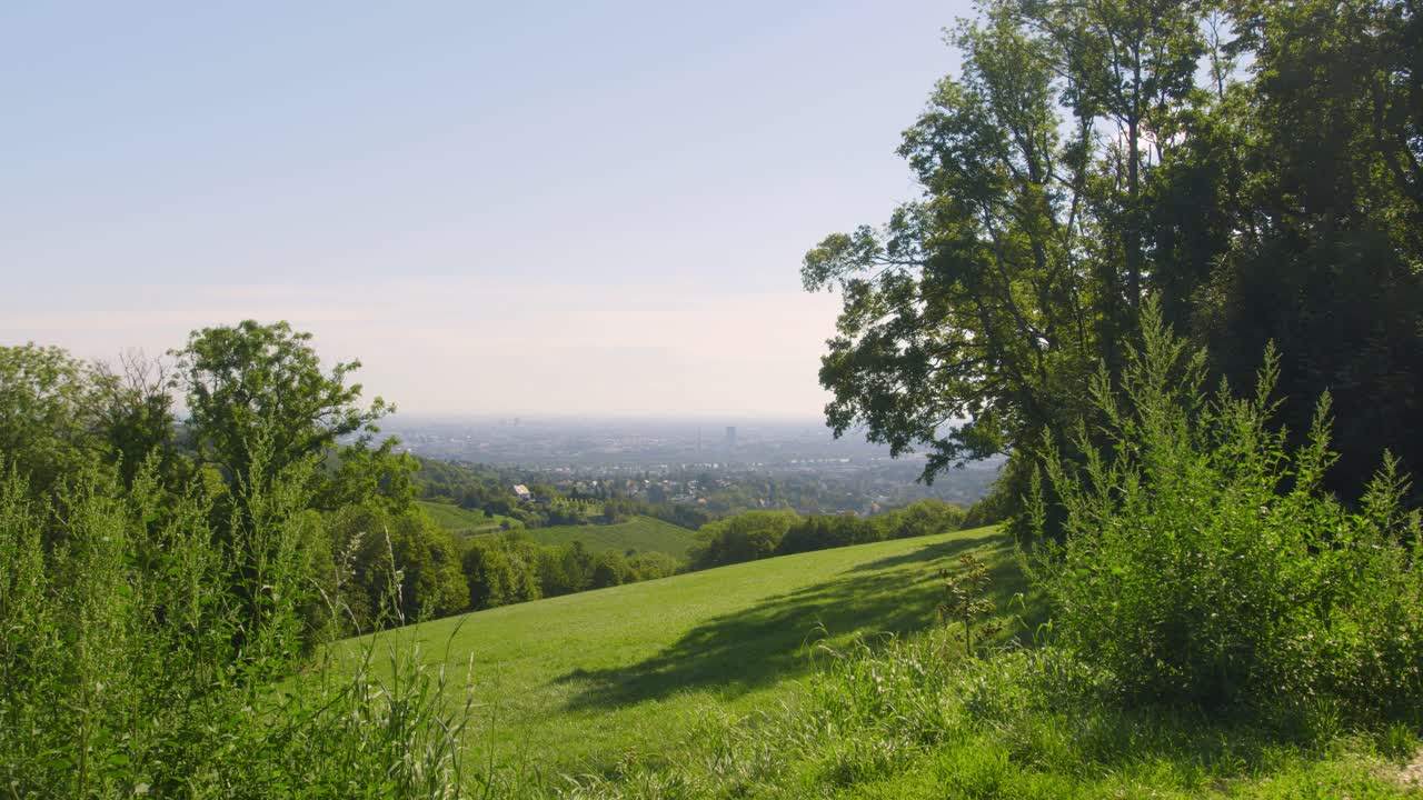 vista de la naturaleza hacia el paisaje urbano de viena en un hermoso día de verano