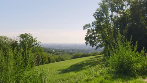 Vista-De-La-Naturaleza-Hacia-El-Paisaje-Urbano-De-Viena-En-Un-Hermoso-Día-De-Verano