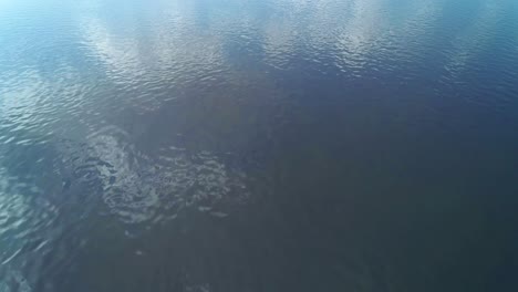 drone flight along river, camera tilts up to show horizon and sky.a flock of birds flies from left to right over the water. the tilt reveals the estuary to the sea, on the horizon