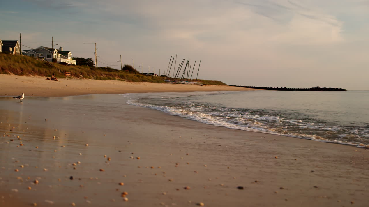 해파리는 항구에 있는 집과 배와 함께 서서히 움직이는 바다의 파도를 지켜보고 있습니다.