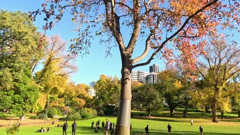 people enjoying a sunny day in the park