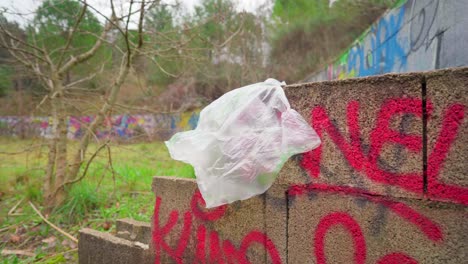 bolsa de plástico descartada en un parque sobre una pared de ladrillos, contaminación y basura en la naturaleza, arte callejero y graffiti en la pared