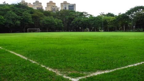 campo de fútbol, deporte de fútbol, hierba verde en la ciudad