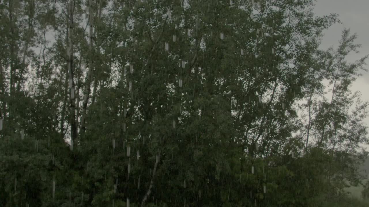 Slow motion of heavy rainfall running off the eave of a house in front of some lush trees