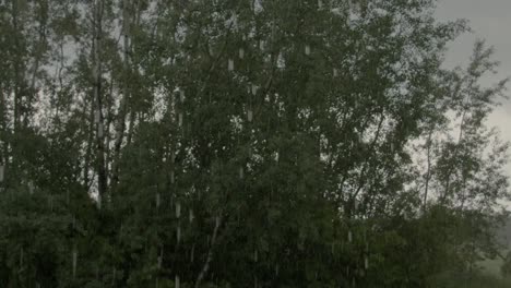 slow motion of heavy rainfall running off the eave of a house in front of some lush trees