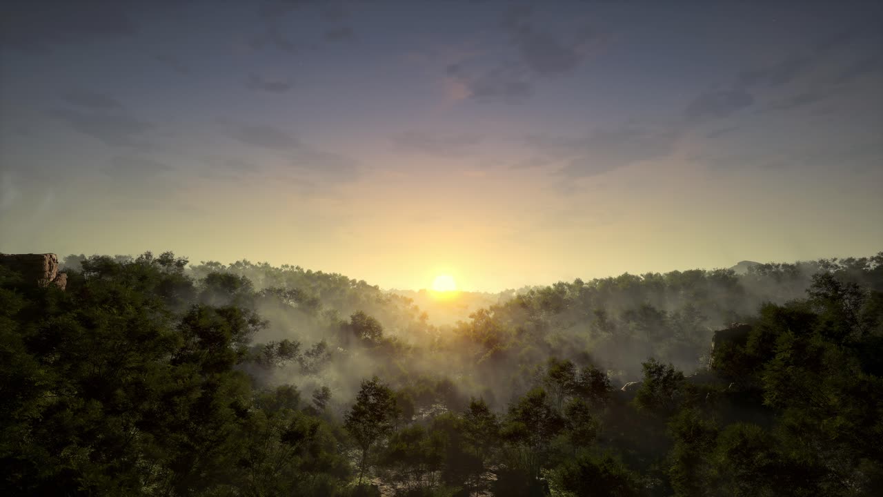 Sunrise over a Misty Mountain Valley Forest