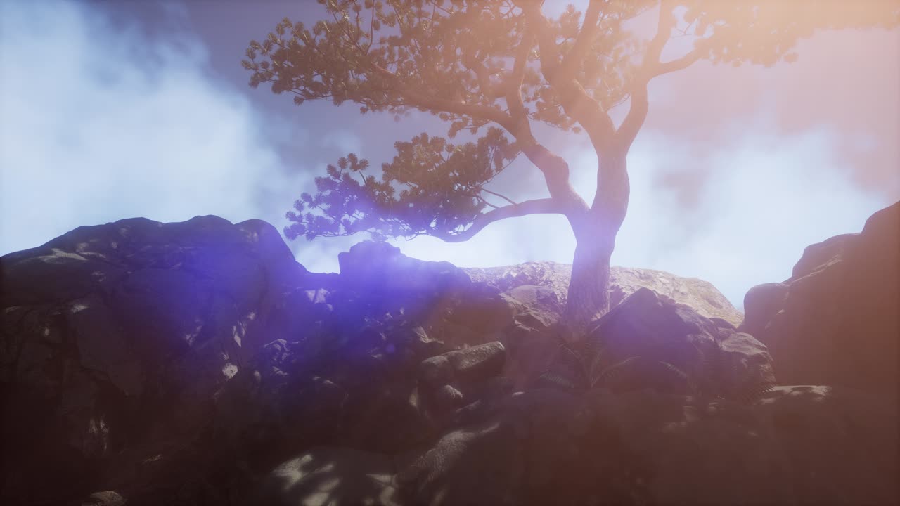 mountain peak in the mist